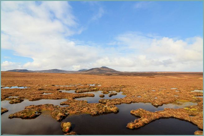 Flow Country Blanket Peat Bog